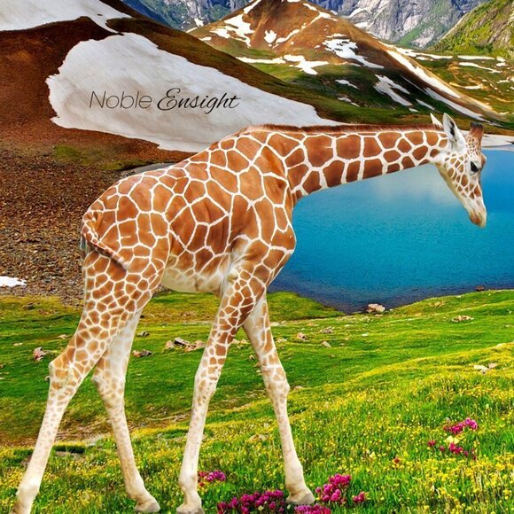 Landscape Architecture Nature Composite‎ Wall Art Fantasy Print - Picture 3 of 5